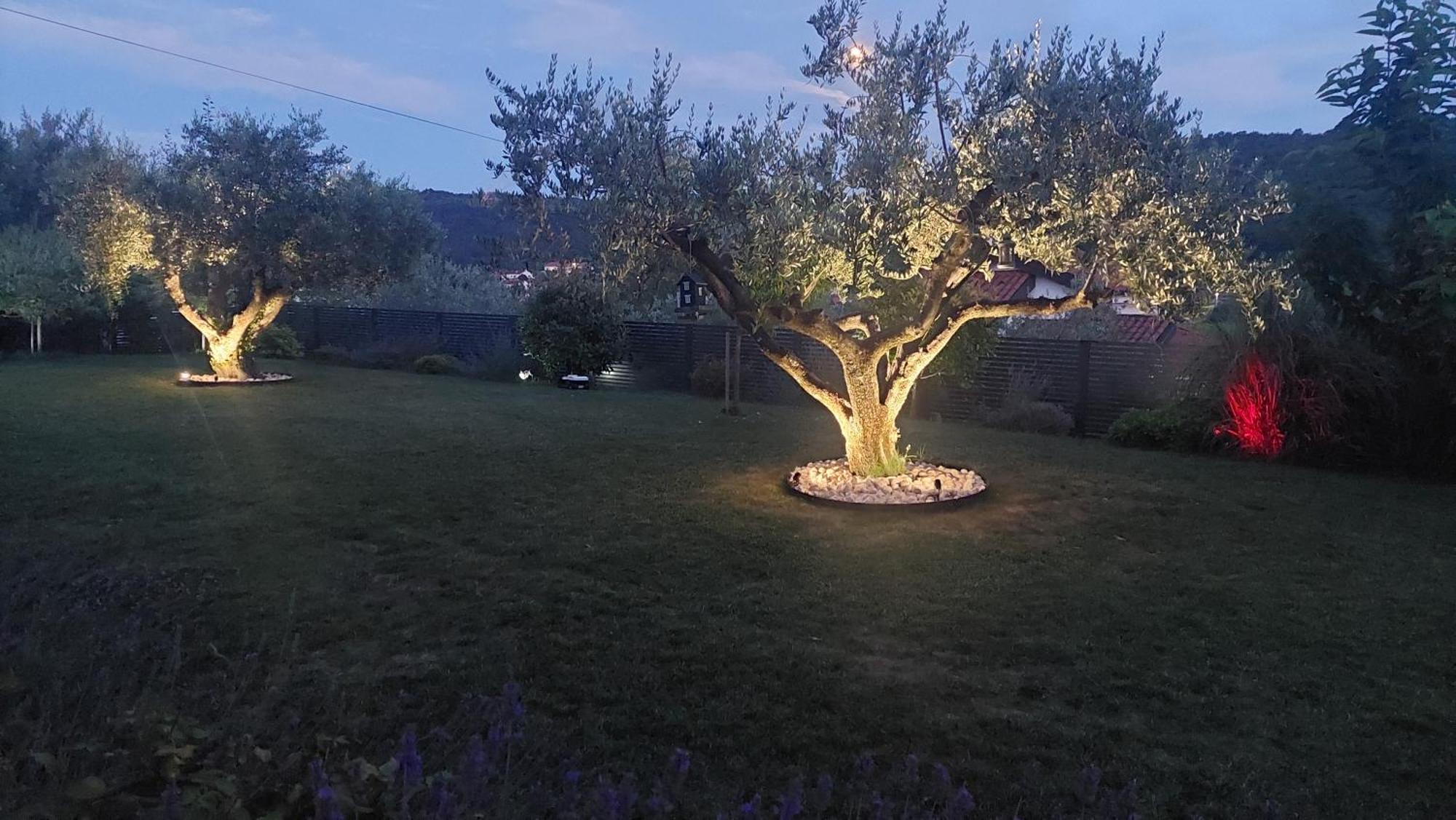 Istrian Lux Residence Koper Eksteriør billede