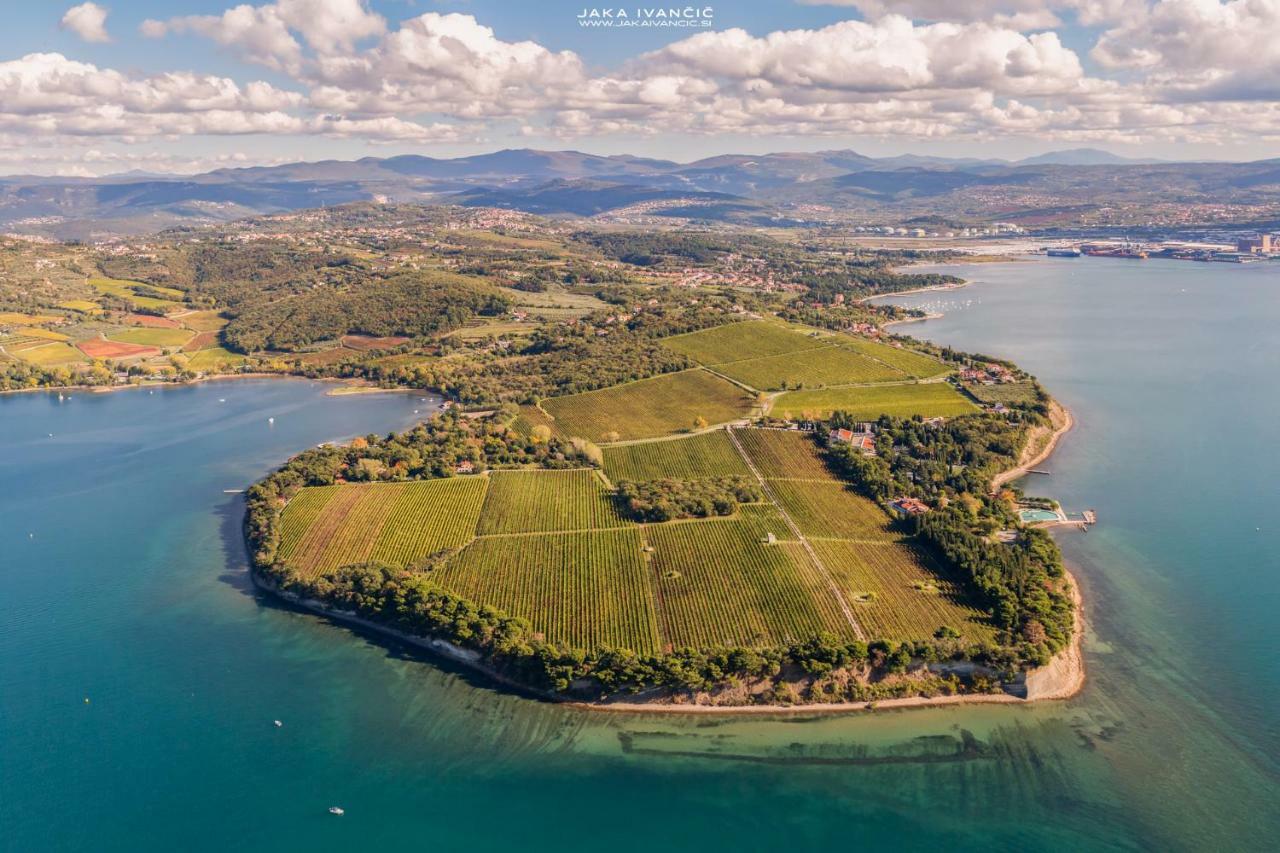 Istrian Lux Residence Koper Eksteriør billede