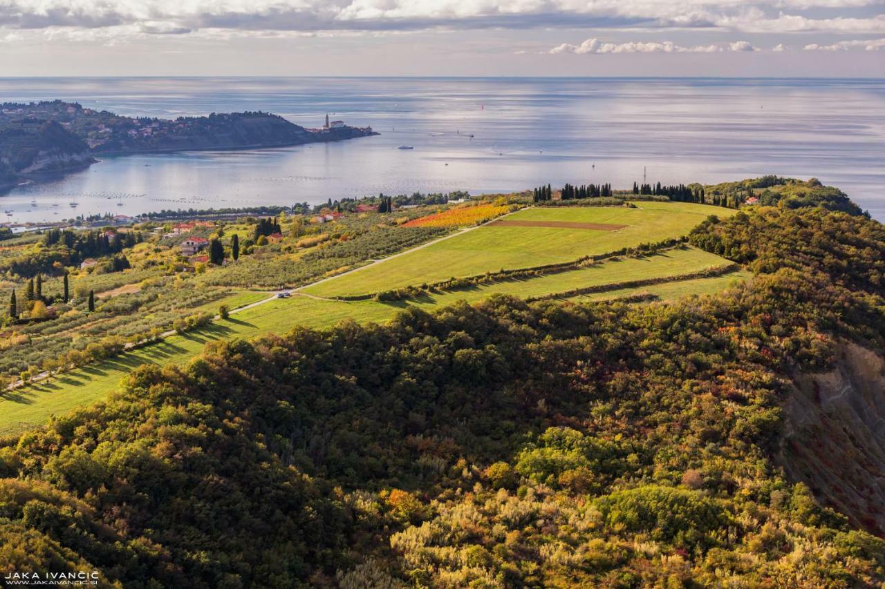 Istrian Lux Residence Koper Eksteriør billede