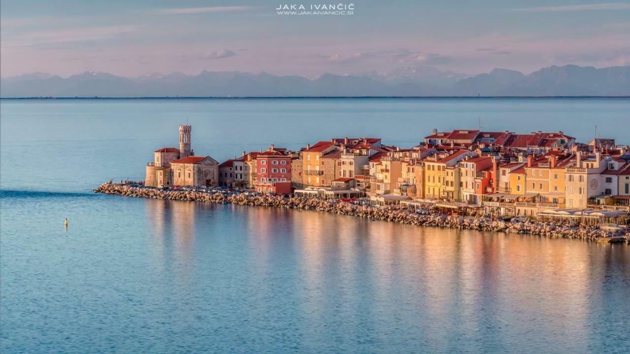 Istrian Lux Residence Koper Eksteriør billede